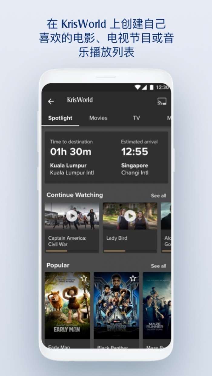 新加坡航空截图