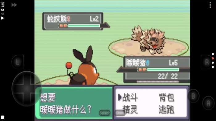 口袋妖怪漆黑的魅影5.0截图