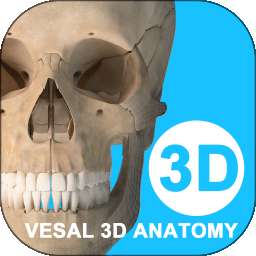 维萨里3D解剖 官方正版 v6.9.5
