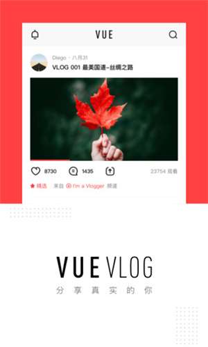 VUEVlog截图
