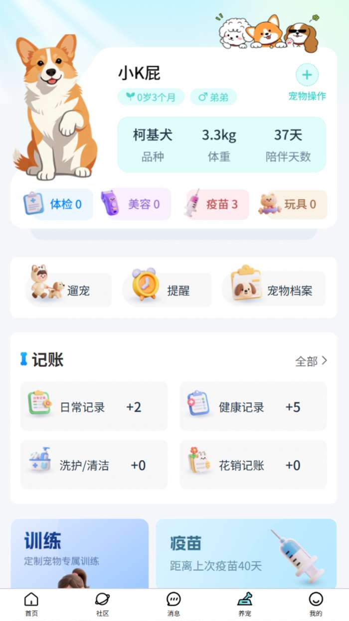 乖宠宠 2026最新版截图