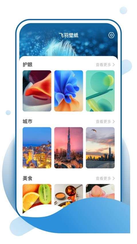 飞羽壁纸 正版截图