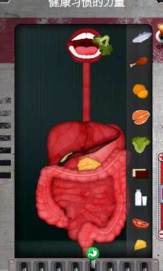 人体是如何运作的 最新版截图