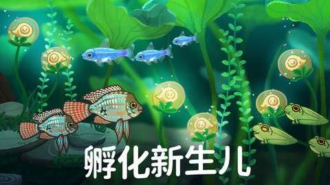 养鱼达人3D截图