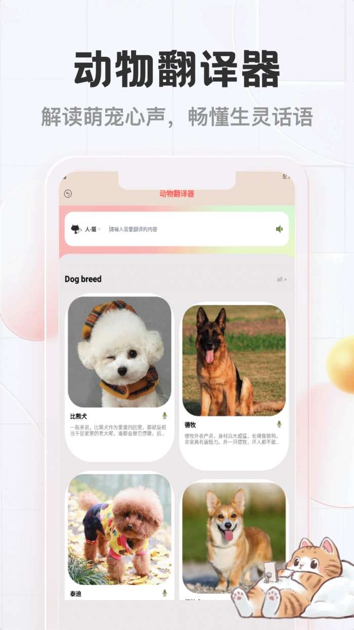 猫猫物语截图