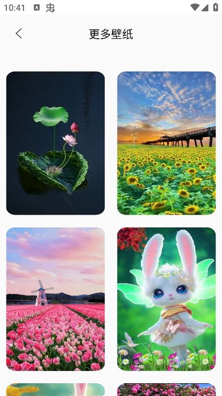 Quin壁纸 2026最新版截图