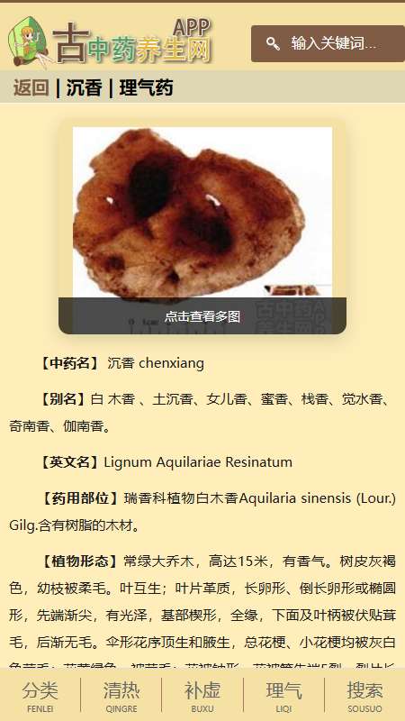 古中药养生网截图