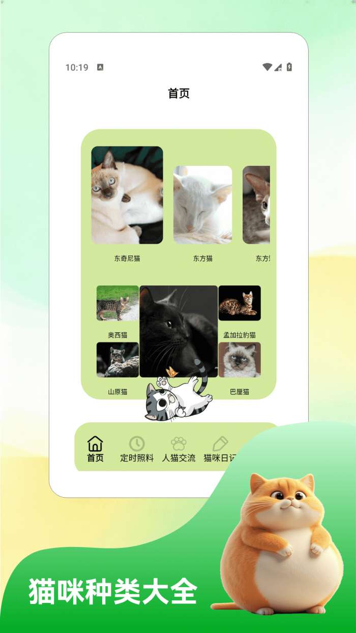 我和猫猫 纯净版截图