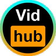 Vidhub 播放器免费版 v4.5.6