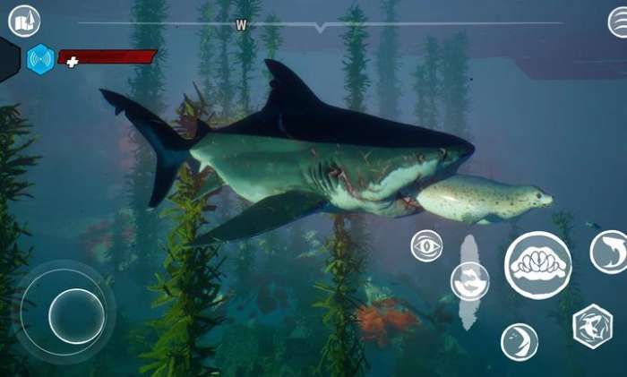 食人鲨 手机版截图