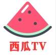 西瓜TV v8.1