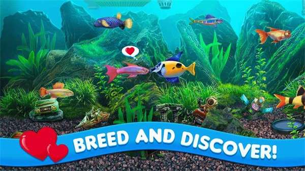 养鱼大亨手机版截图