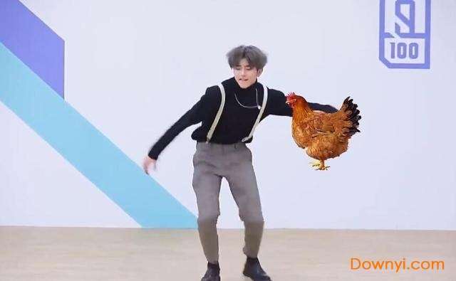 鸡你太美gif表情包截图