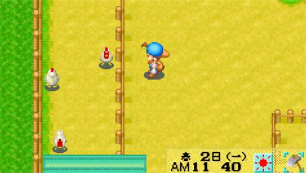 牧场物语矿石镇的伙伴们女孩版截图