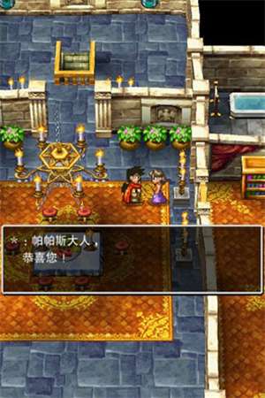 勇者斗恶龙5汉化版截图