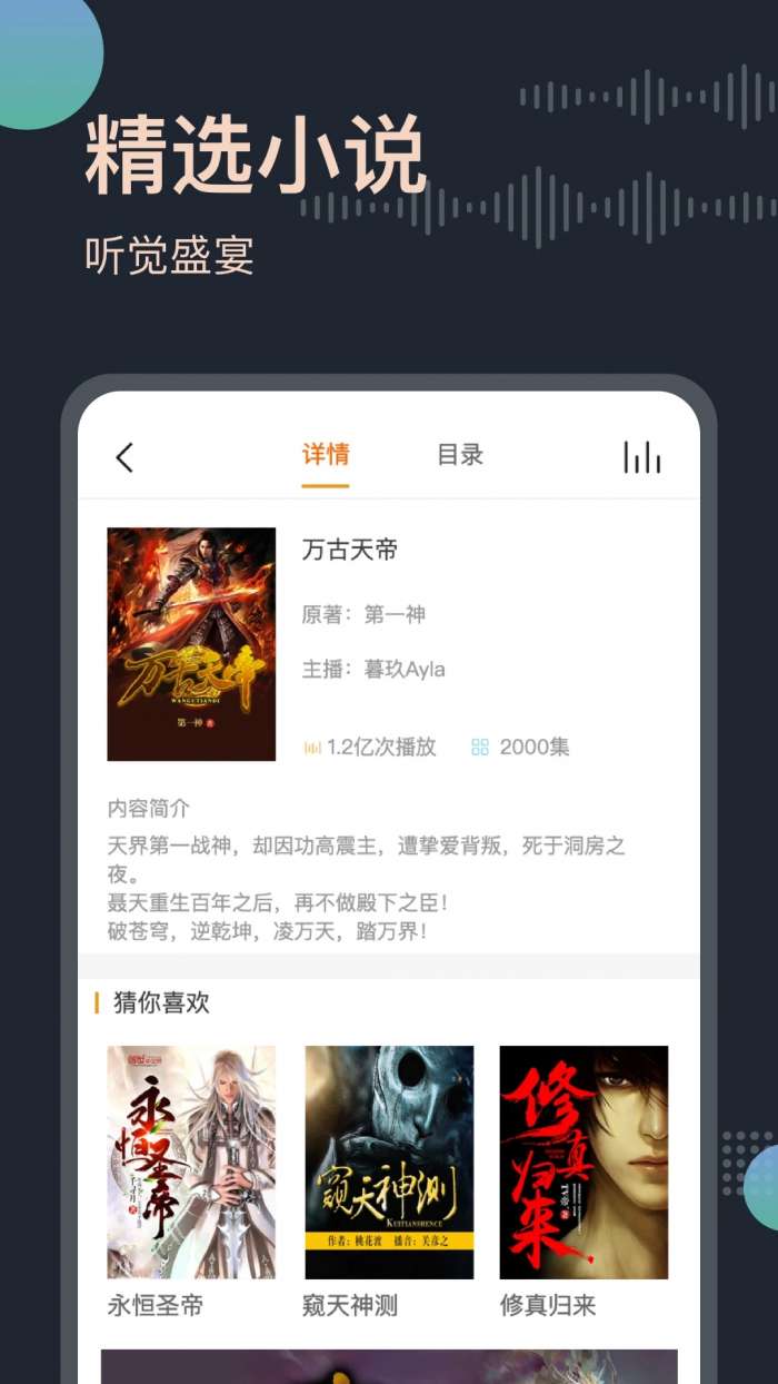 免费听书王 全集在线收听截图
