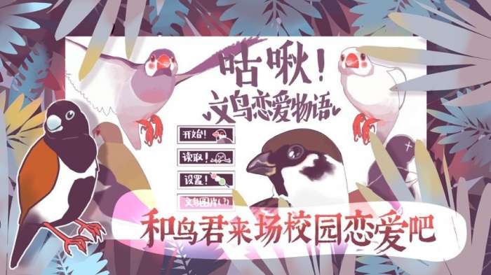 咕啾文鸟恋爱物语截图