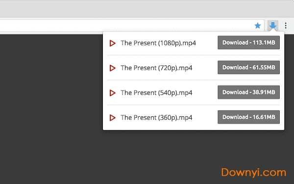 video downloader professional chrome(网页视频下载工具)截图