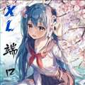 XL公益端口 公益版 v1.0