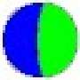 WebEx录制器(WebEx) 