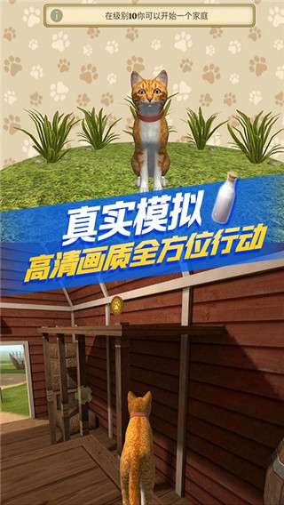 猫咪生存模拟器 最新版截图