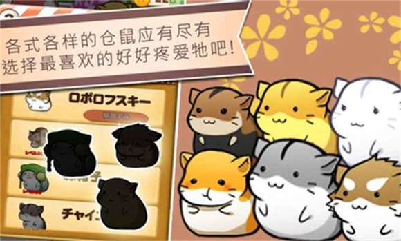 仓鼠的日常中文版截图