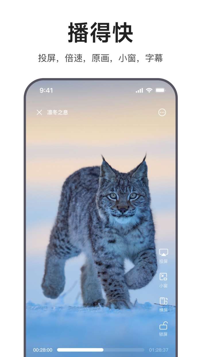迅雷浏览器 老版本截图