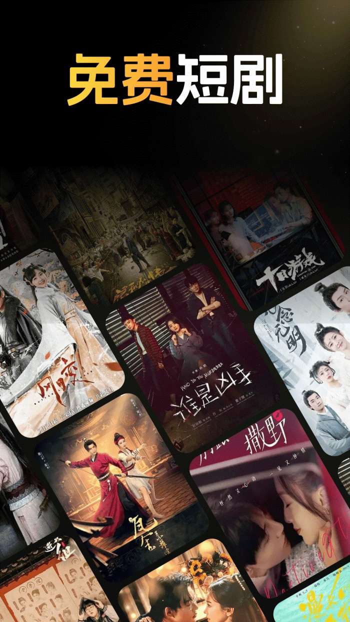 番悟免费短剧截图