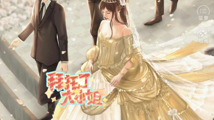 拜托了大小姐截图