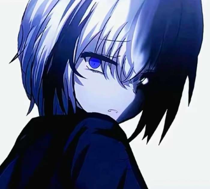 杨万里弱网 v10.0