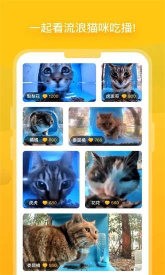 哈啰街猫 安卓版截图