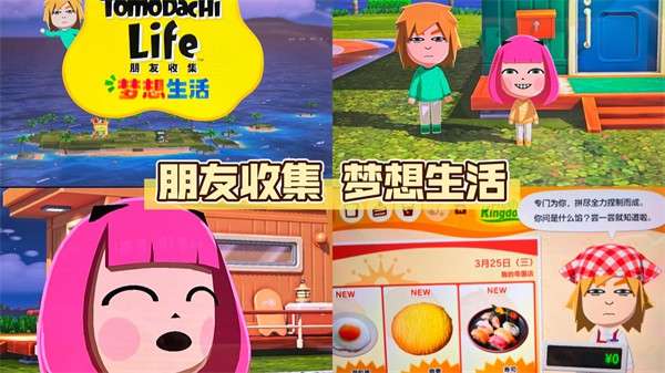 朋友收集：梦想生活 免费移植版截图