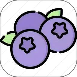 蓝莓音乐 无广告版 v1.3
