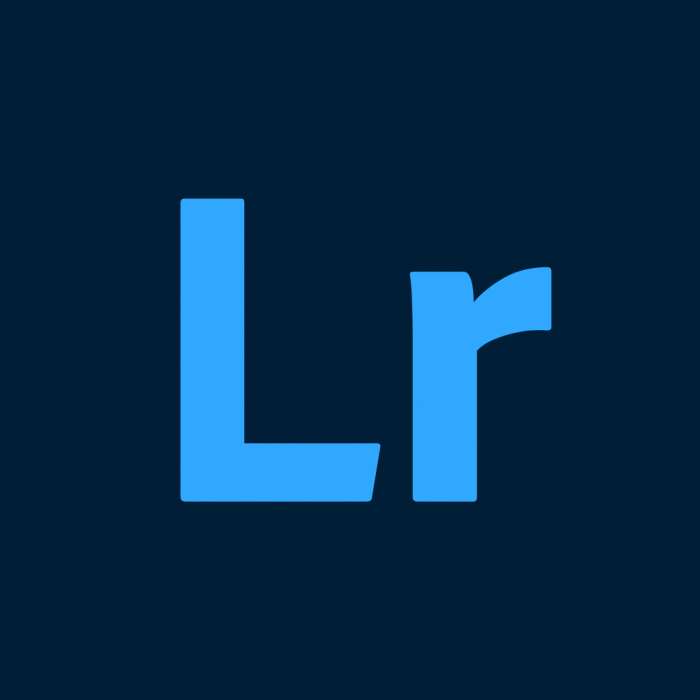 lightroom 手机中文版 v10.1.0