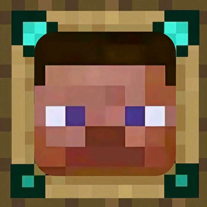 史蒂夫科技 v1.0