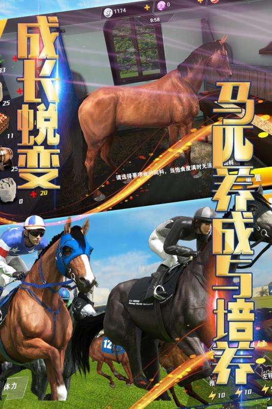 相马大师 安卓版截图