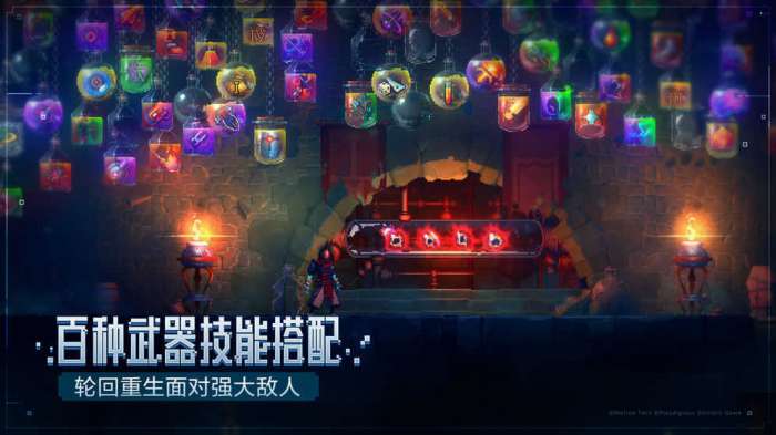 死亡细胞免付费版（Deadcells）截图