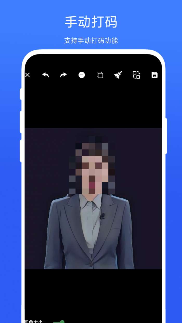 隐私自动打码器截图