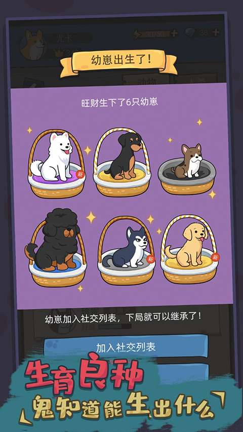 狗生模拟器 无广告版截图