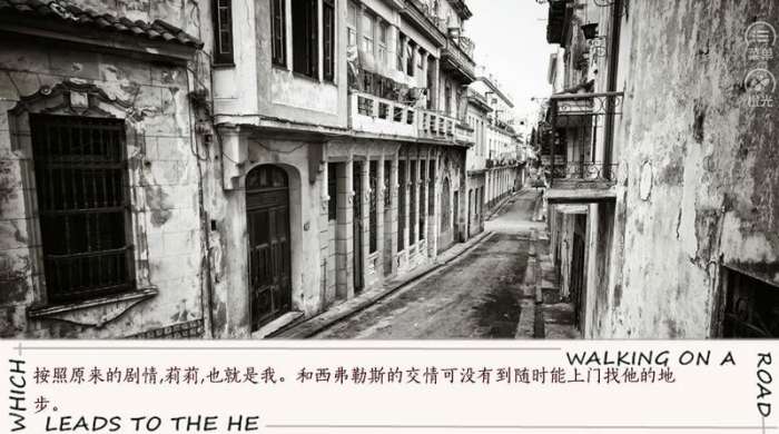 走在he的道路上截图