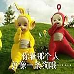 电视天线宝宝qq表情包 