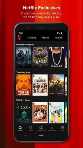 奈飞netflix 最新中文版截图