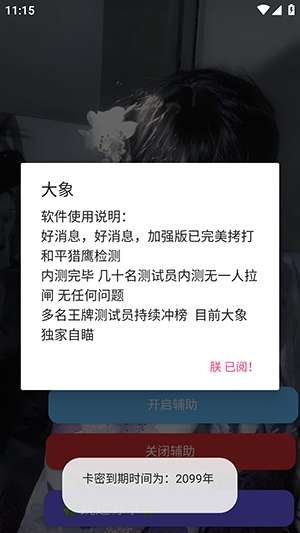 大象直装 公益版截图