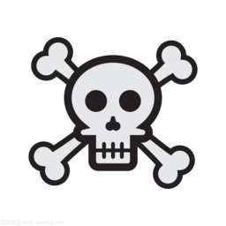 骷髅头直装 2026最新版 v5