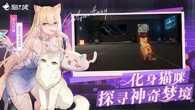猫之城 正版截图