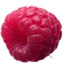 荔枝微博相册下载助手软件 