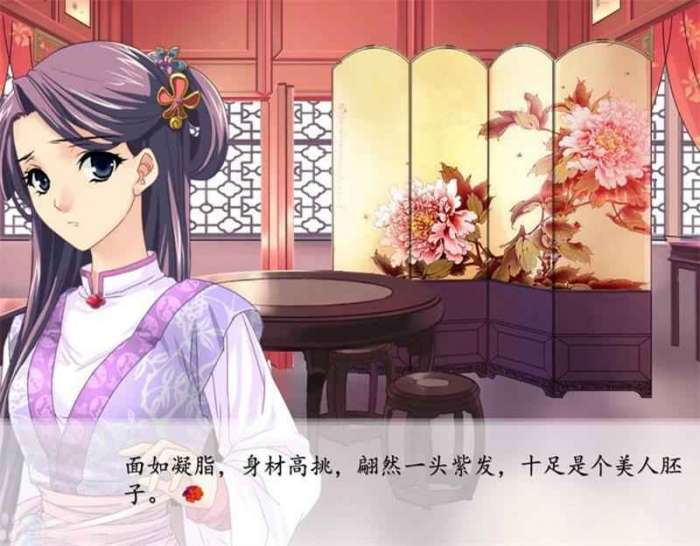红楼梦galgame 汉化版截图