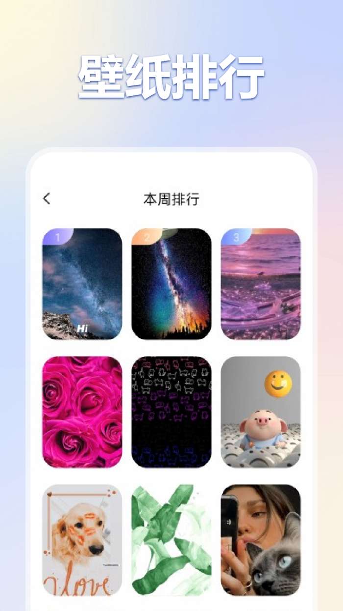 彩虹猫pro 主题库下载入口截图