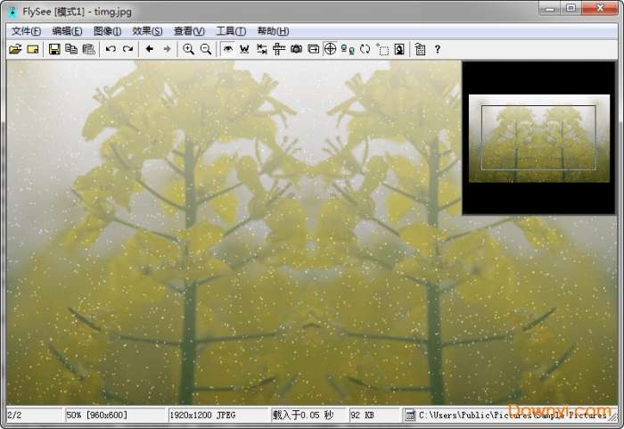flysee绿色版(飞翔看图)截图