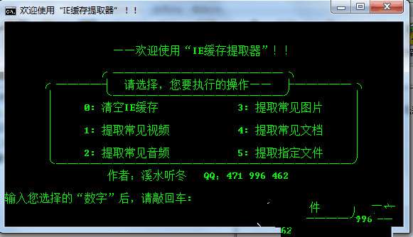 IE缓存提取器截图